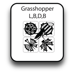 grasshopper 2