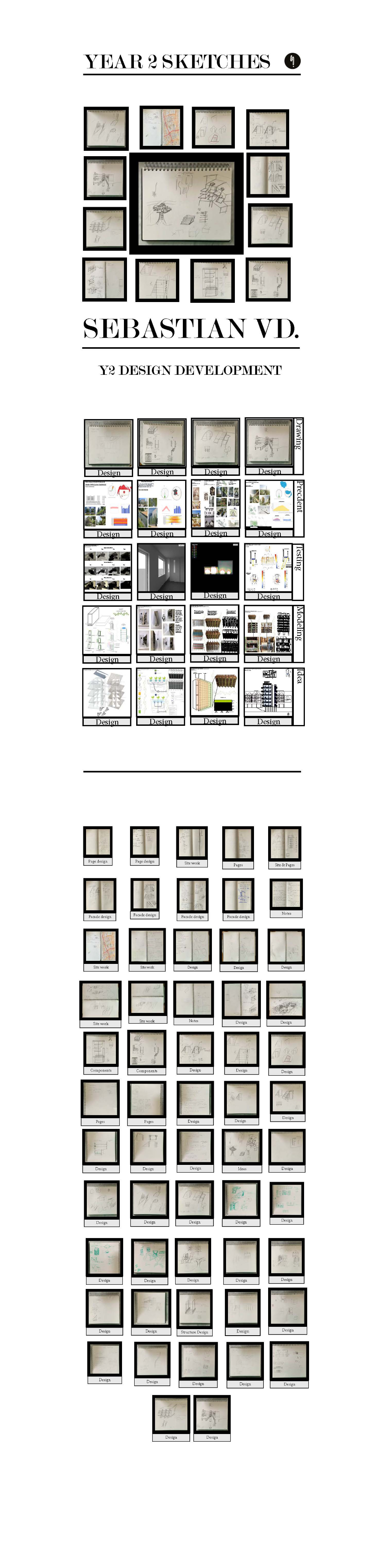 website DD year 2 v0001 1