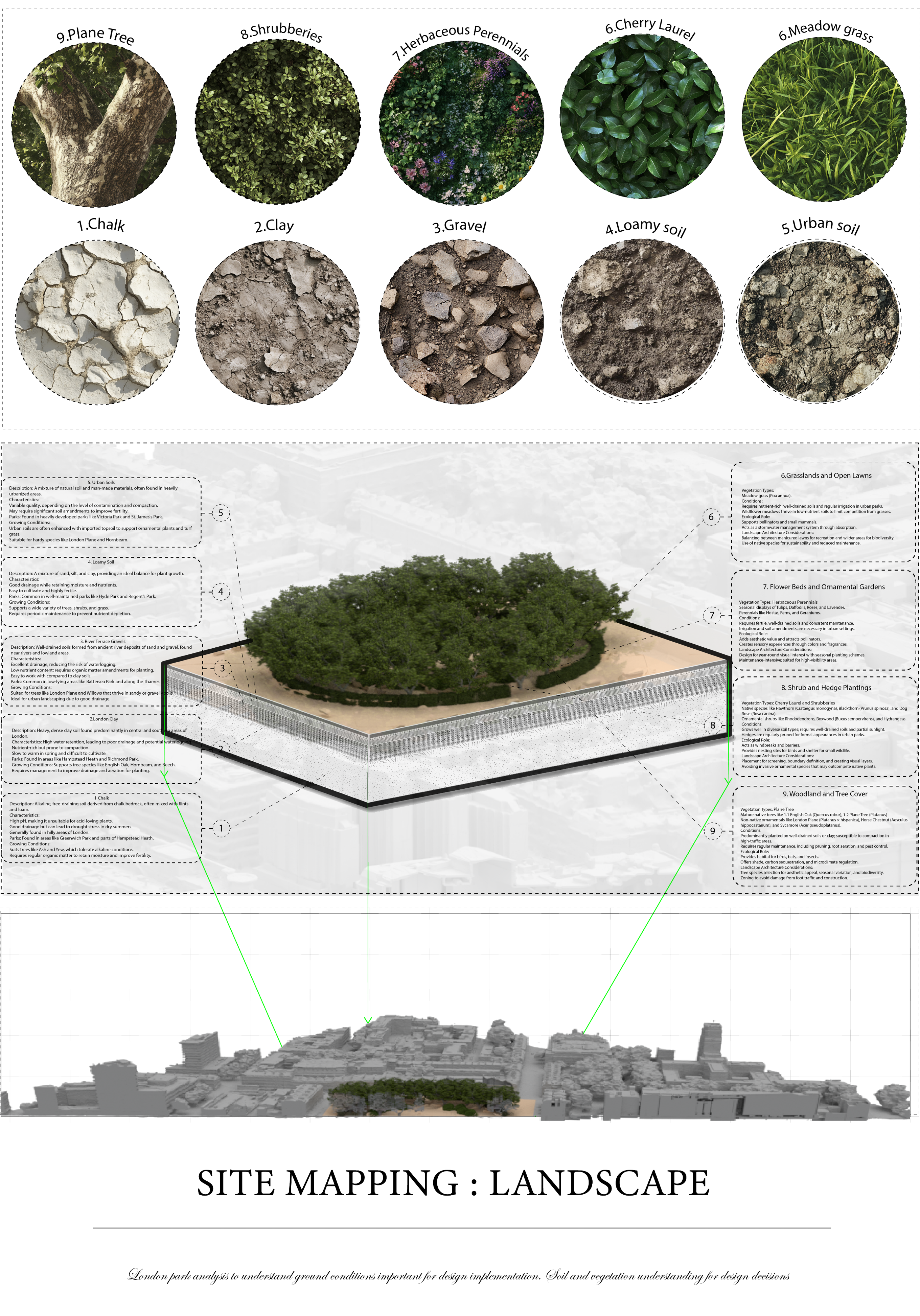 tree24 plant theory work